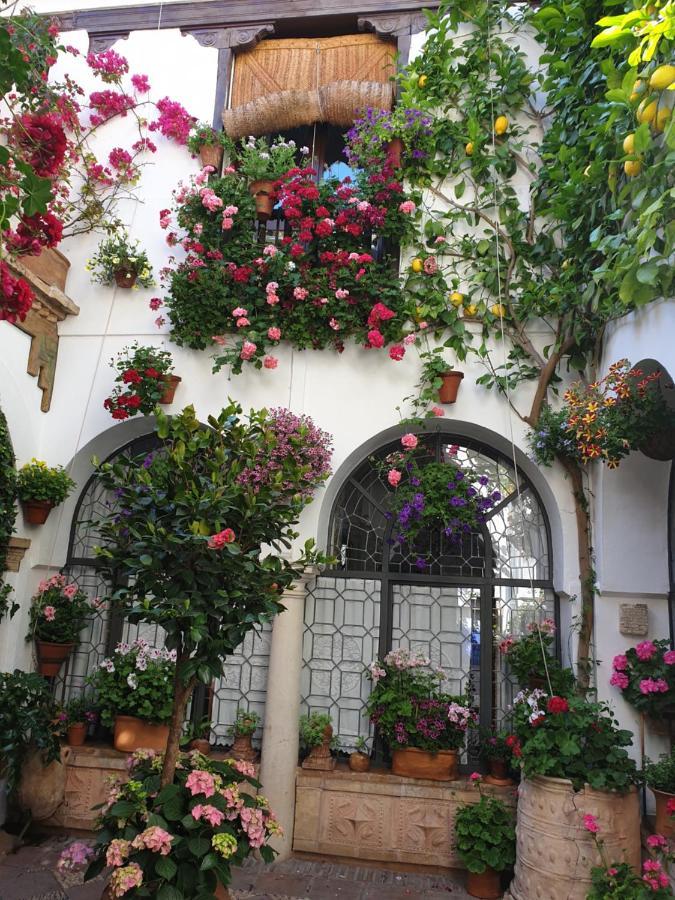 Apto. Planta Baja Y Cochera Barrio San Basilio Cordoba Exterior photo